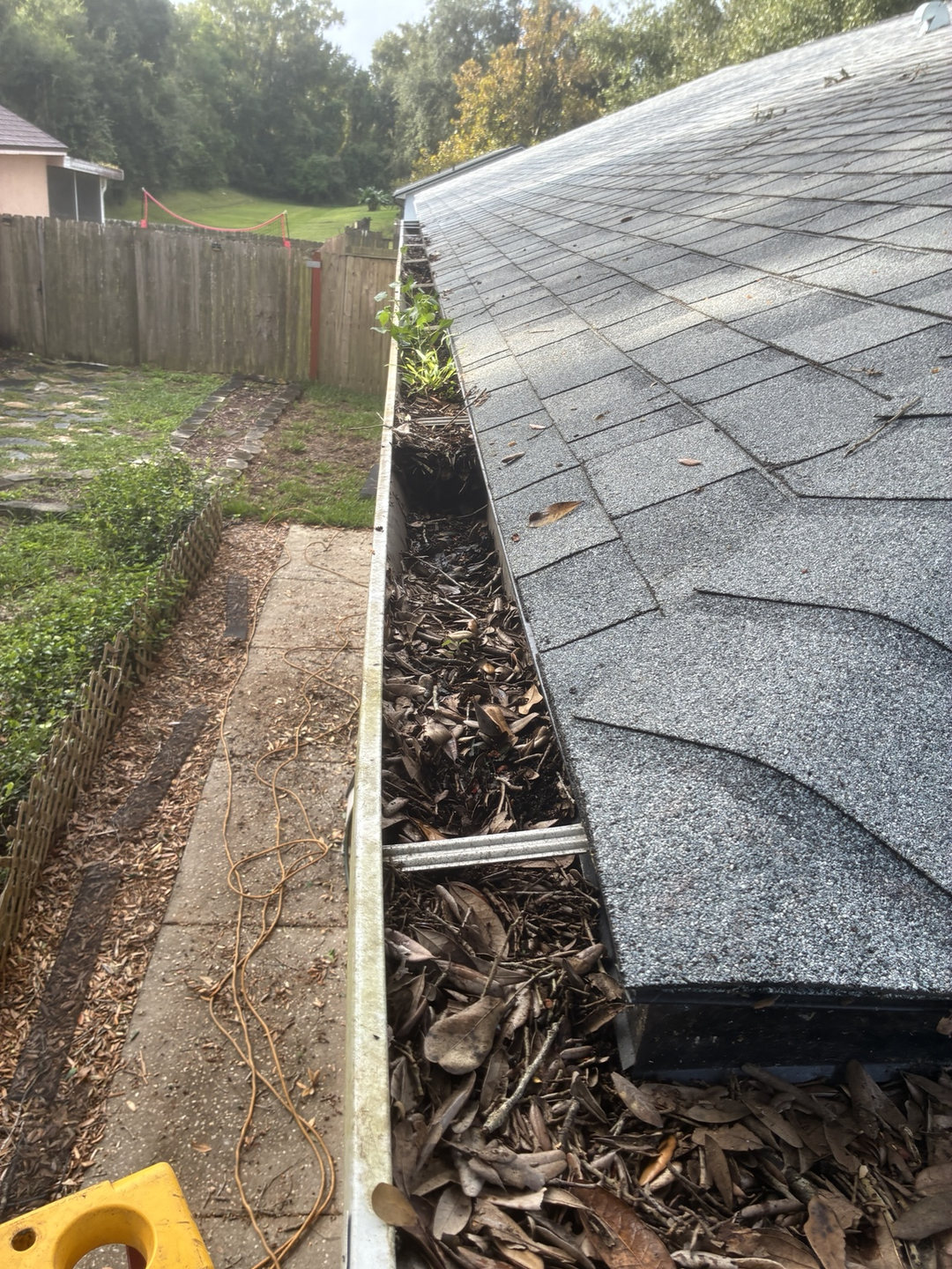 Second gutter-cleaning project before work